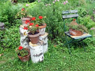 Stilleben beim Produktionsgarten-Eingang