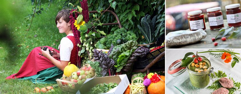 Basis für unseren veganen Genuss: die Steinschaler Gärten