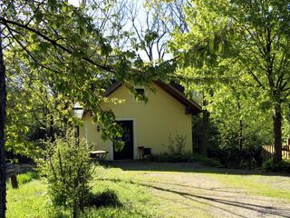 Teichbrücke an einem Frühlingsmorgen