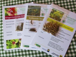 Vermehrung: Steinschaler (Wildkräuter-)Samenkarten