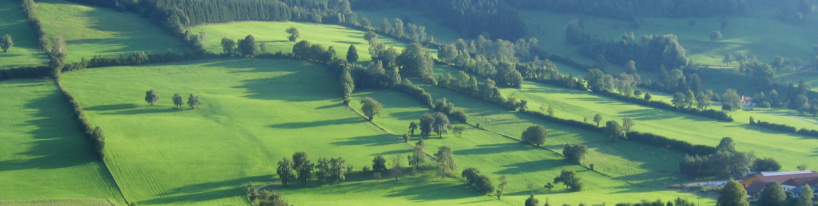 Kulturlandschaft Tradigist - Richtung Eben