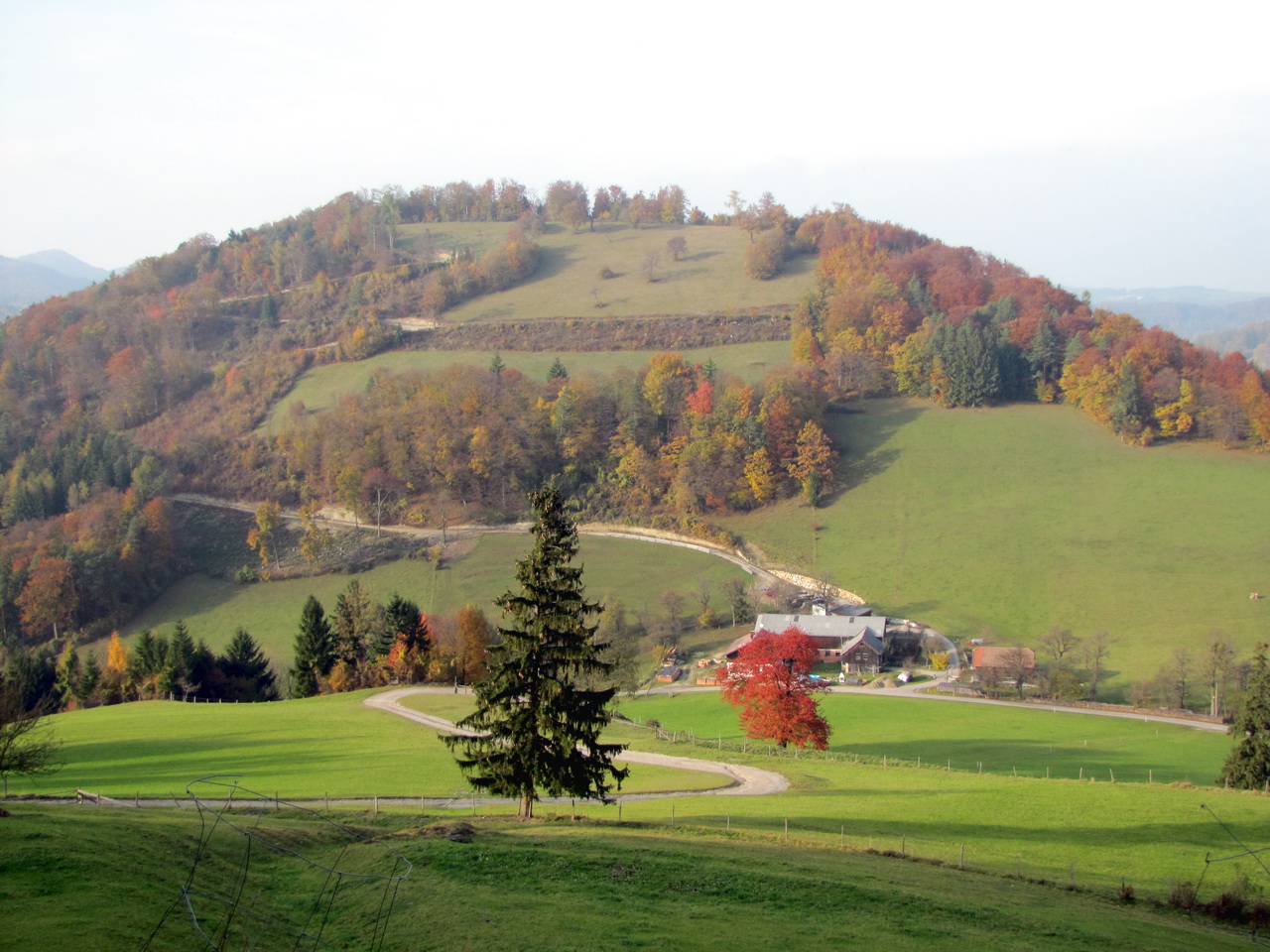 Plespitz mit Hofberg im Hintergrund