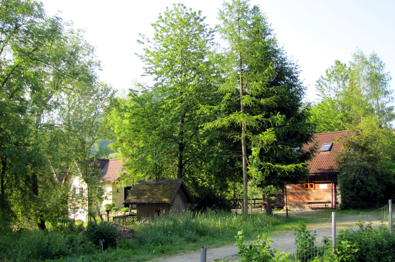 Teichbrücke und Teichhaus (rechts)