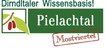 Logo Dirndltaler Wissensbasis 350px