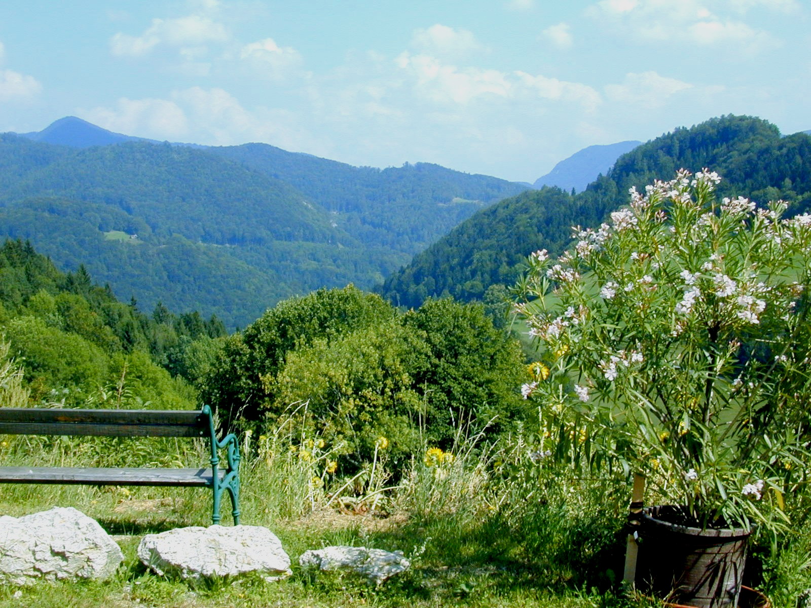 Aussicht von der Terrasse