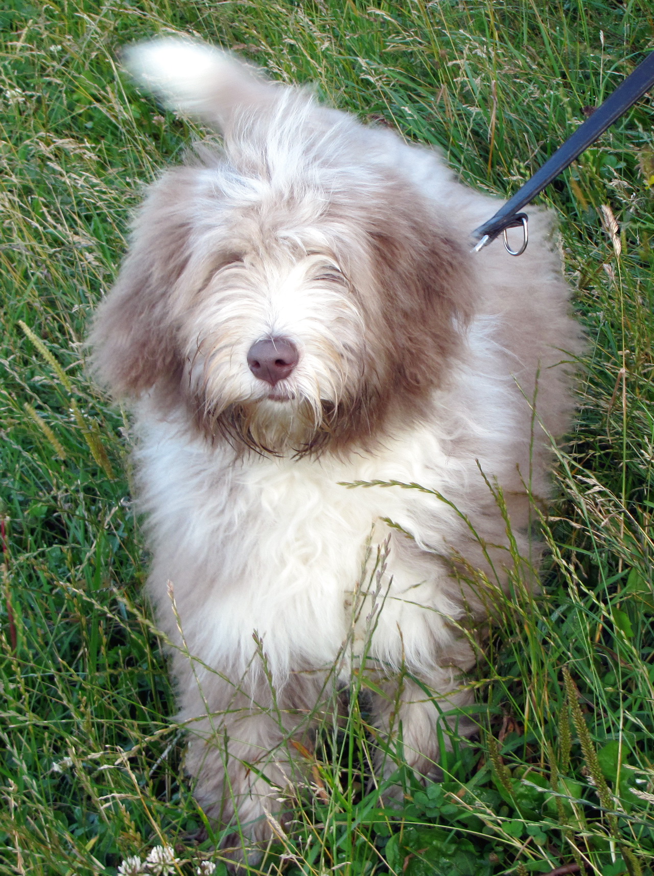 Bild:Est Paula erste Mal .jpg