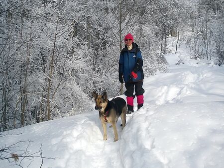 Wandern mit Hund - Winter