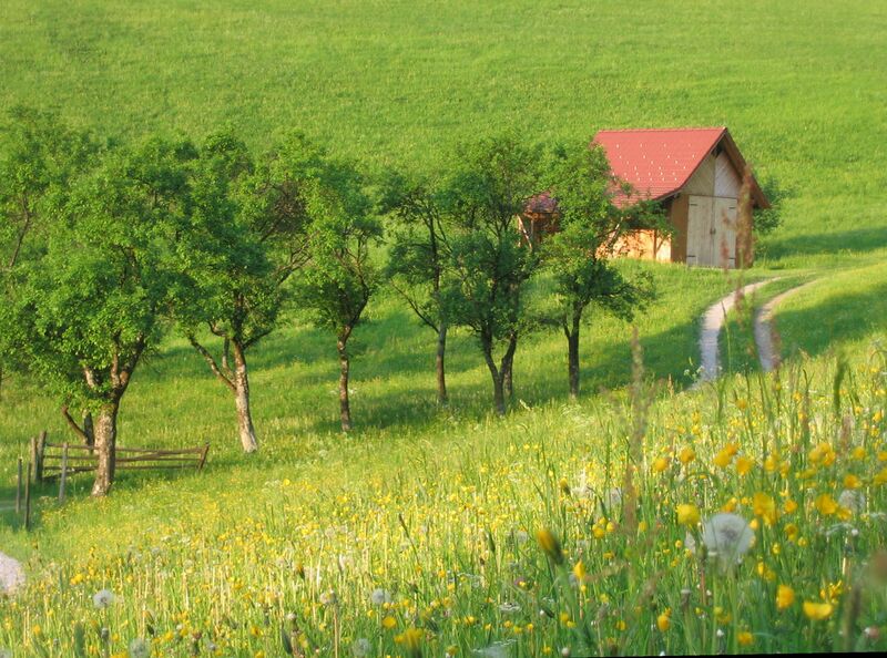 Datei:Zwetschen und Stadl Eisenstein.jpg