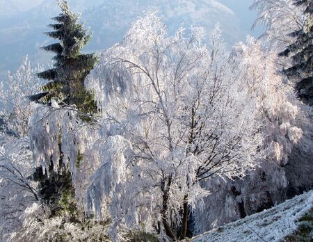 Raureif beim Wandern