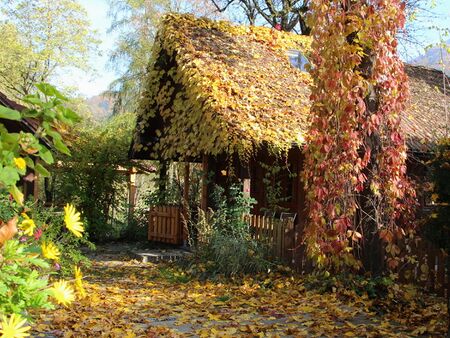 Gartenhaus mit Zaun - im goldenen Herbst