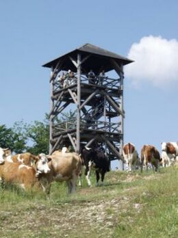 Aussichtsturm Hochbärneck