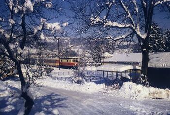 1099 im Schnee Winter