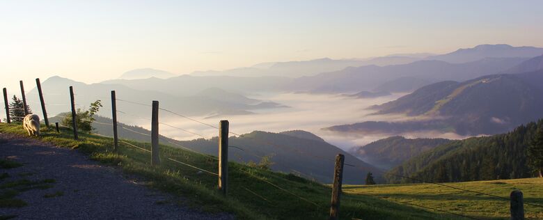 Morgennebel auf Eisenstein