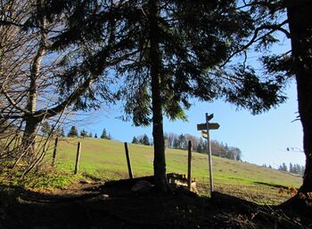 Überstieg vom Waldweg