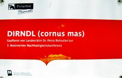 Schild der bei der NHAK 2010 gepflanzten Dirndlstaude