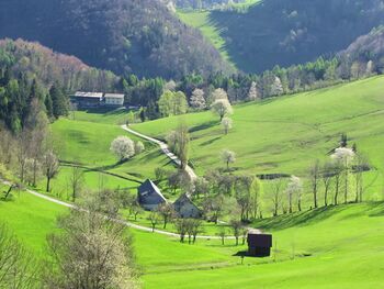 Frühling im Klaustal auf 850 m Seehöhe