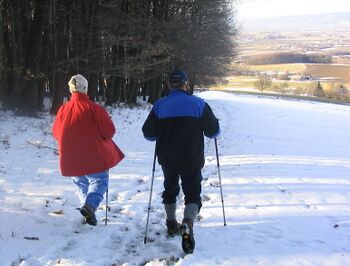 Wandern im Dirndltal - im Winter