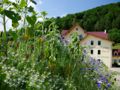 Dorfhotel mit Blumen.jpg