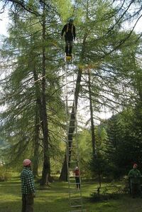 Pamper Pole - Trischler