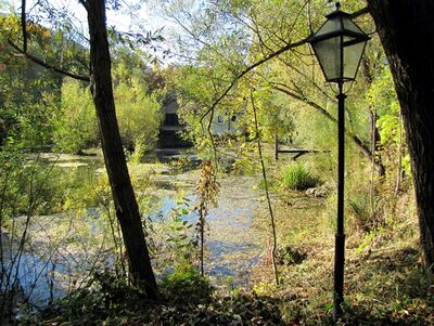 Steinschaler Teich - Herbststimmung