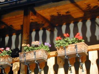 Blumen auf dem Innebalkon