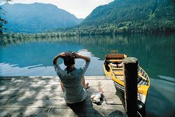 Sommeridyll Lunzersee