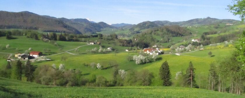 Ötscherblick vom Laimboden