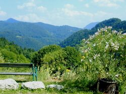 Aussicht von der Terrasse - St-Dörfl