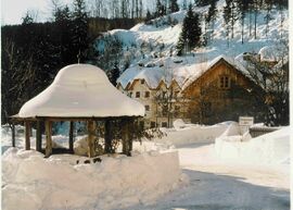 Brunnen im Steinschaler Dörfl