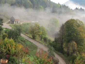 SD - Herbstnebel