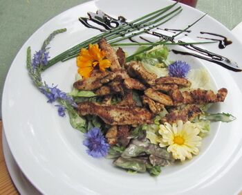 Wildkräutersalat mit Streifen