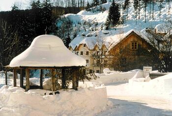 Brunnen am Hertaplatzl - Winter