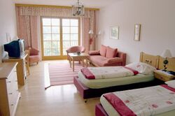 Zimmer Rose #111