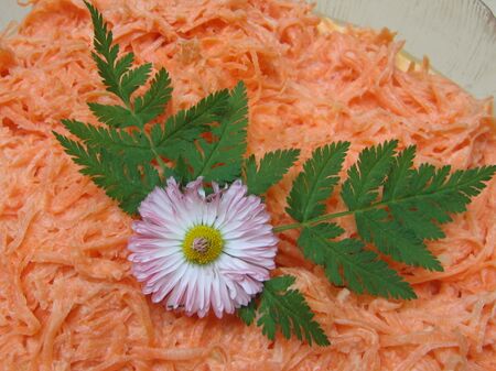Blüten am Karottensalat