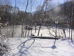 Steinschaler Teich im Winter - ehemailger Eisteich