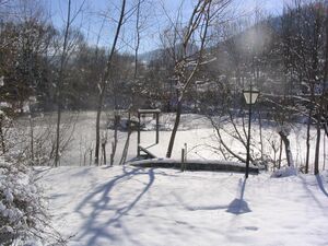 Steinschaler Teich im Winter - ehemailger Eisteich