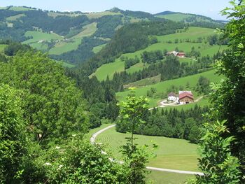 Landschaft im Dirndltal - Rettenbachgraben