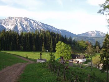 Ansicht Alm mit Ötscher im Hintergrund - Hochbärneck