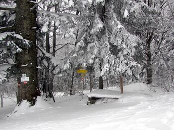 Überstieg zur Alm - Winter