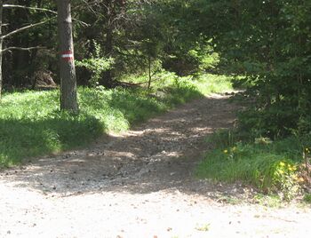 Abzweigung nach Holzplatz