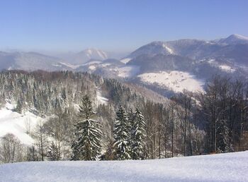 Winterlandschaft von Panoramahaus