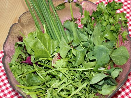 Wildkräuterspezialist: Kräuter für Ihren Salat