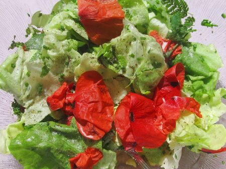 frischer Salat mit Klatsch-Mohnblättern