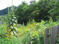 Mostiniumgarten - Hintergrund der Gaisbühel