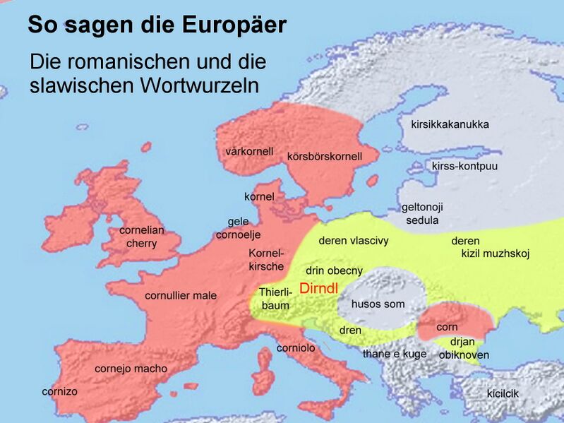 Datei:Dirndl - So sagen die Europaer.jpg