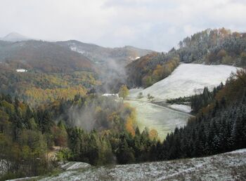 SD-Herbst: Blick von Terrasse