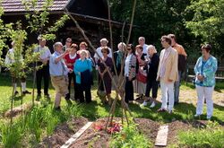 Gartenführung Steinschaler Gärten