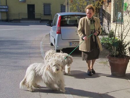 Oma Herta mit Hunden