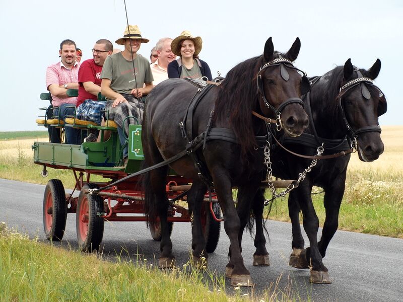 Datei:Reblausexpress Kutsche Reinthaler.jpg