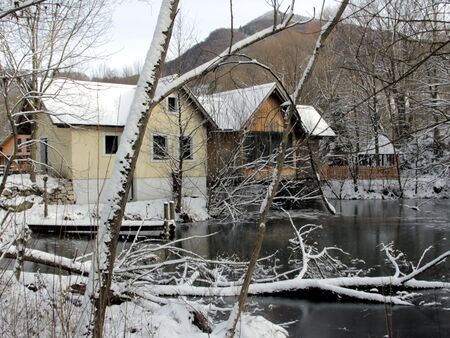 Teichbrücke im Winter mit "Biber-Bäumen"